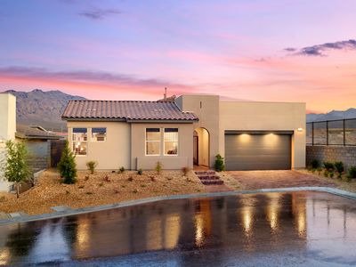 10301 Grey Poplar Ct