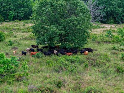 000 St Hwy N Highway N