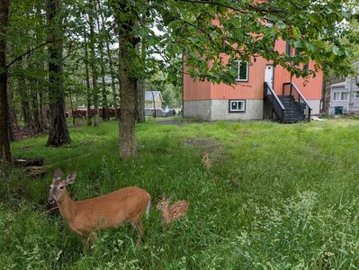 1584 Black Birch Way