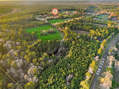 393 County Road 4220