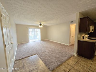 7803 Alfred Schlatter Dr APT 1