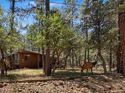 Property at 3780 N HUNT Drive, Pine, AZ