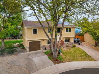 30 Tulip Ct