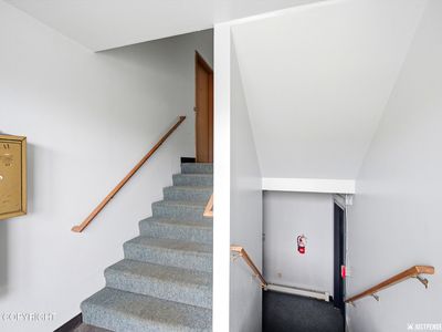 241 McCarrey St Unit 16