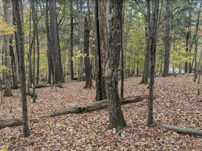 1168 Marshalls Creek Rd