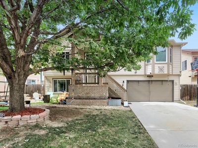 203 Linden Street