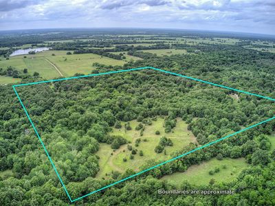 1774 County Road 3562