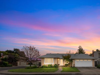 1419 Shelby Drive