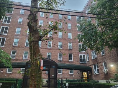 388 Avenue S #4F