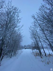 7031 N Dry Fork Settlement Rd W