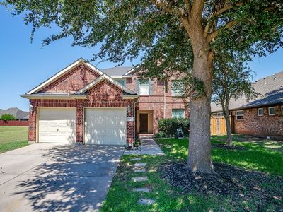 7004 Alcala