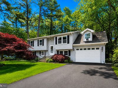 447 Dogwood Dr