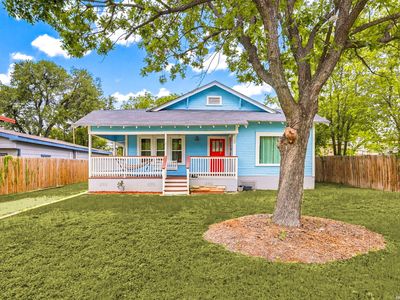 239 E Ligustrum