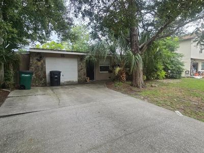 55 Melrose Dr
