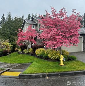 22904 NE 132nd Place