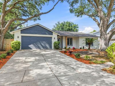 12929 Rain Forest St