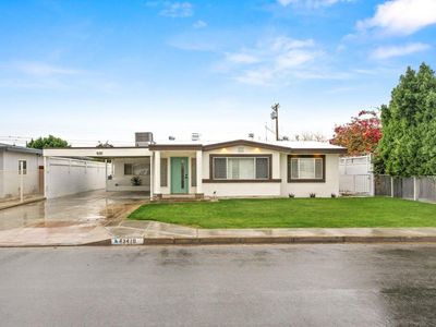 43419 Deglet Noor St