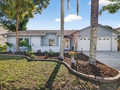 12913 Rain Forest St