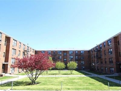 979 E 108th St APT 1B