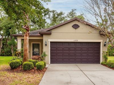 6408 Yellow Buckeye Dr