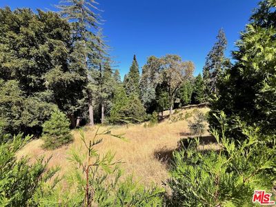 Property at 284 Hidden Forest Rd, Lake Arrowhead, CA