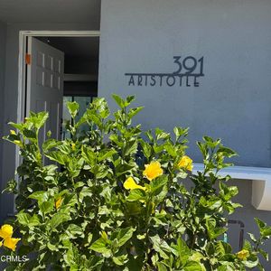 391 Aristotle St