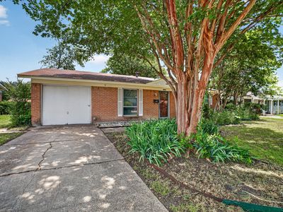 204 Island Dr