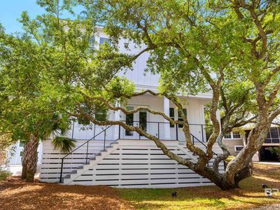 26201 Perdido Beach Blvd #9