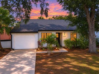19595 Kapok Ct