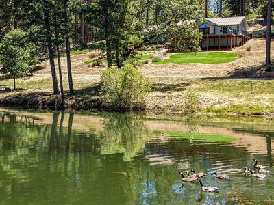 11456 Mirror Lake Ct
