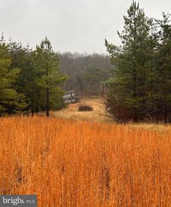 1990 Collinsville Rd