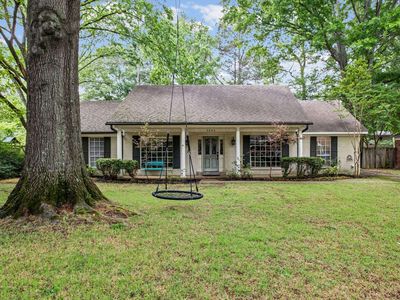 2543 Birchtree Dr