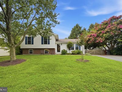 29397 Petunia Dr