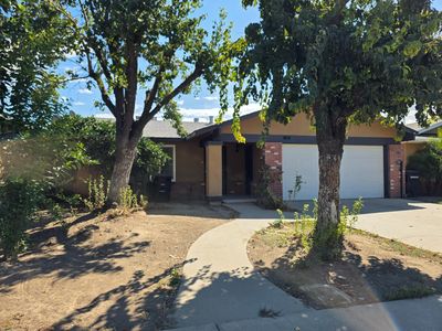 904 Pine Tree Ln