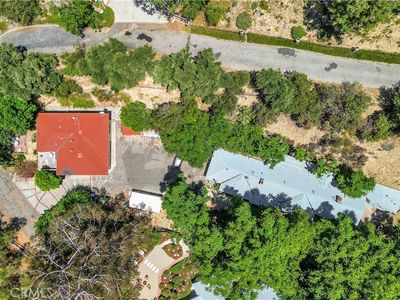 4905 Palo Dr