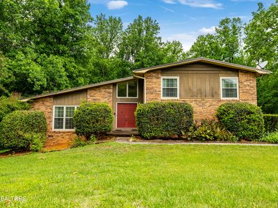 1404 Mimosa Dr