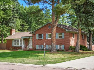 29 Briarwood Pl