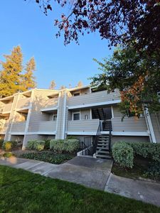 284 Stonegate Cir