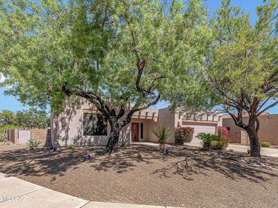 11001 E Indigo Bush Pl