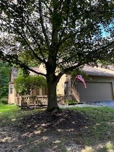 9 Circle Wood Rd
