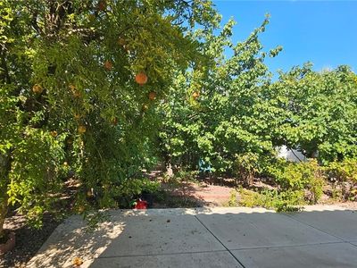 3320 Michelangelo Ct