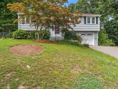 35 Donna Rd