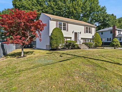 18 Woodland St