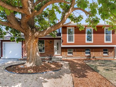17769 E Iowa Drive