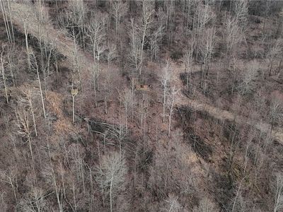 Along Gallagher & Loop