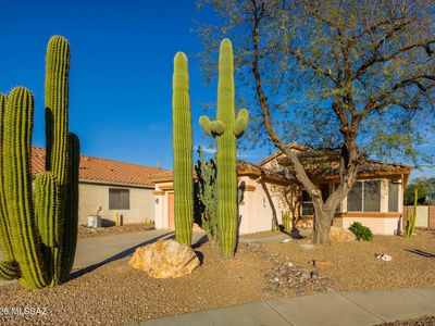 9238 N Crimson Stone Pl