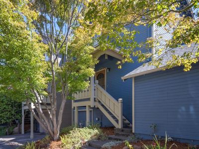 2 Rain Tree Court