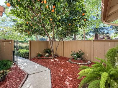 1241 Beaulieu Ct