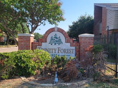 9254 Forest Ln APT 613