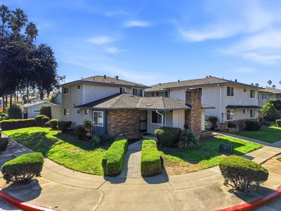 Grand Fir Ave
